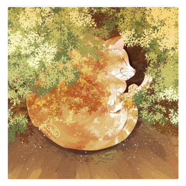 My little prince, Ponta!